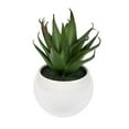 thumbnail image 1 of Vickerman FO190501 Pot Succulent Blanc 5 Po. Vert, Rouge & Gris - Ensemble de 3, 1 of 3