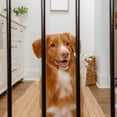 thumbnail image 6 of Carlson Pet Extra Wide Walk-Through Pet Gate with Small Pet Door, 4-inch Extension, Metal, Black, 6 of 10