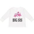 thumbnail image 3 of Inktastic Sister Announcement Flamingo Sister Girls Long Sleeve Toddler T-Shirt, 3 of 5
