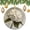 pattern-1791, variant on Christmas Ornaments White Hydrangea Oil Painting Keepsake Gift Watercolor Floral Spring Summer Ornament Holiday Decor for Xmas Tree