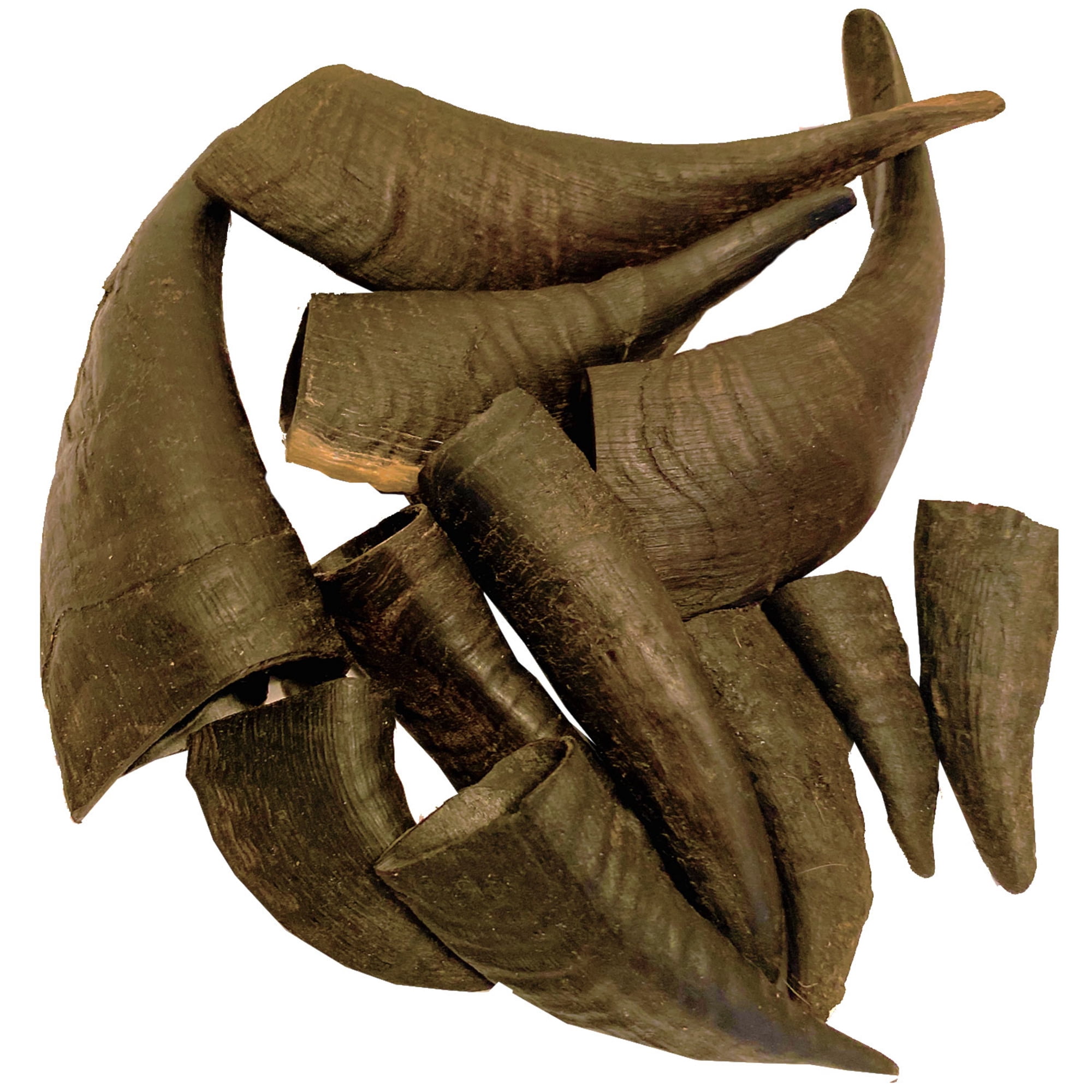Mountain Goat Horn -100% Natural, Long-Lasting Dog Chews & Treats, New, 10 Count-10 oz