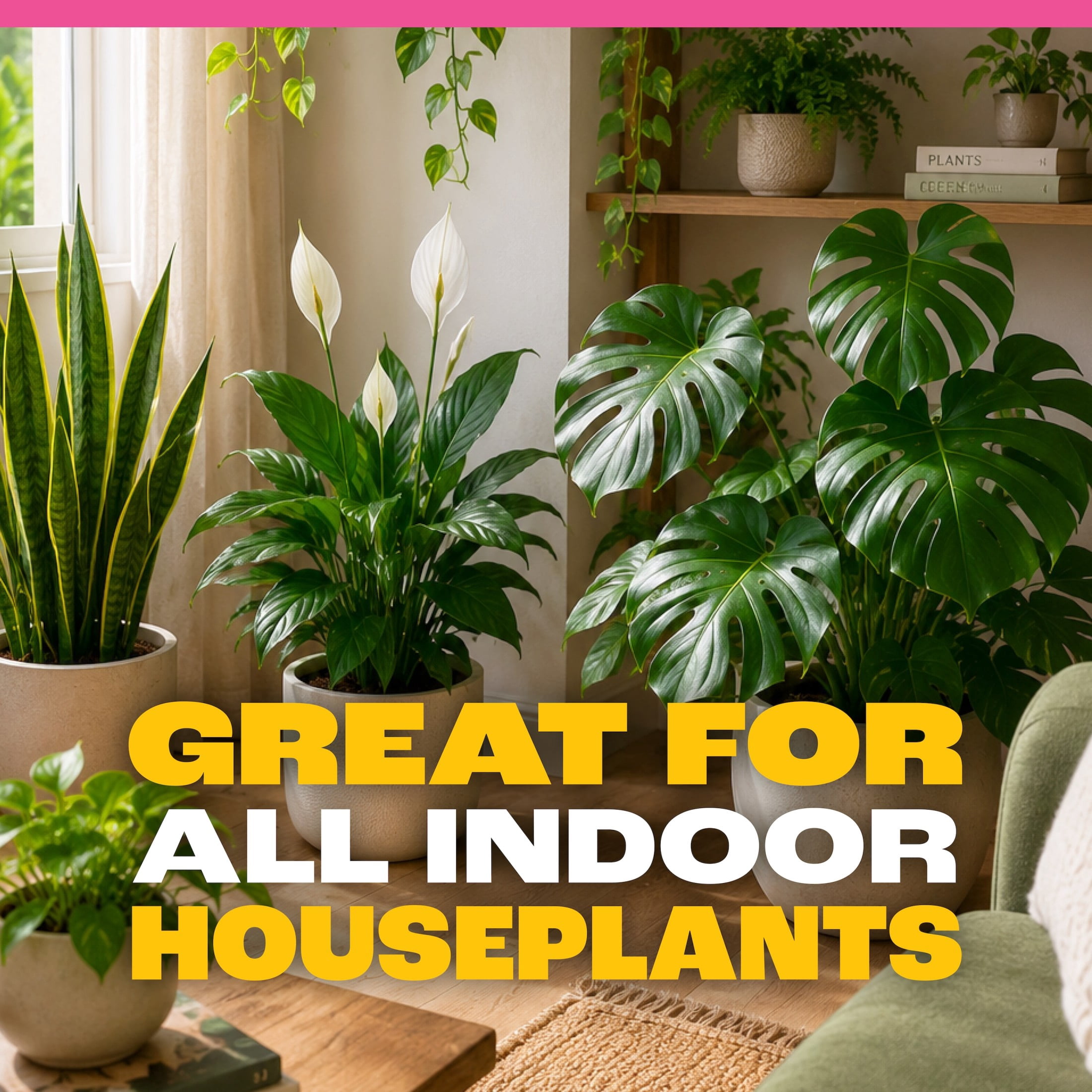 Pennington Easy-Dose Indoor Plant Food 2-3-2 16oz 16oz
