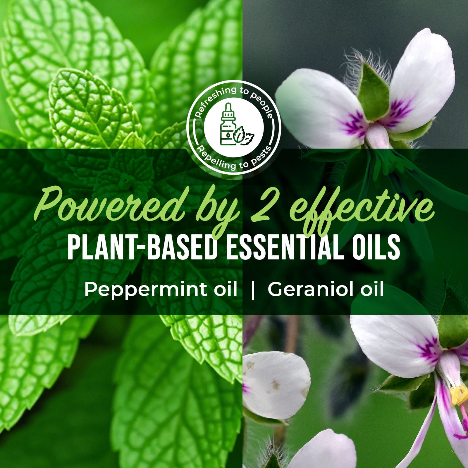 Mighty Mint Peppermint Oil Home & Patio Insect Control Spray Natural Indoor & Outdoor Bug Control for Spiders, Ants, Roaches, and More, 130 fl. oz.