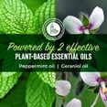 thumbnail image 4 of Mighty Mint Peppermint Oil Home & Patio Insect Control Spray Natural Indoor & Outdoor Bug Control for Spiders, Ants, Roaches, and More, 130 fl. oz., 4 of 7