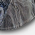 thumbnail image 3 of Designart 'Close Up Of Scottish Cow On Moorland III' Farmhouse Circle Metal Wall Art 23x23 - Disc of 23, 3 of 5