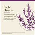 thumbnail image 2 of Flower Essence Bach Original Heather, 10 ml, sin alcohol, 2 of 7