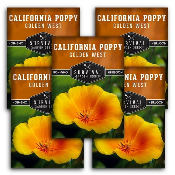 5 pack Golden West Seeds - California Poppy - Non-GMO Heirloom Full Sun Annual Flower