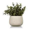 thumbnail image 1 of Bouclair Artificial Plant in Beige Speckled Pot, 1 of 5
