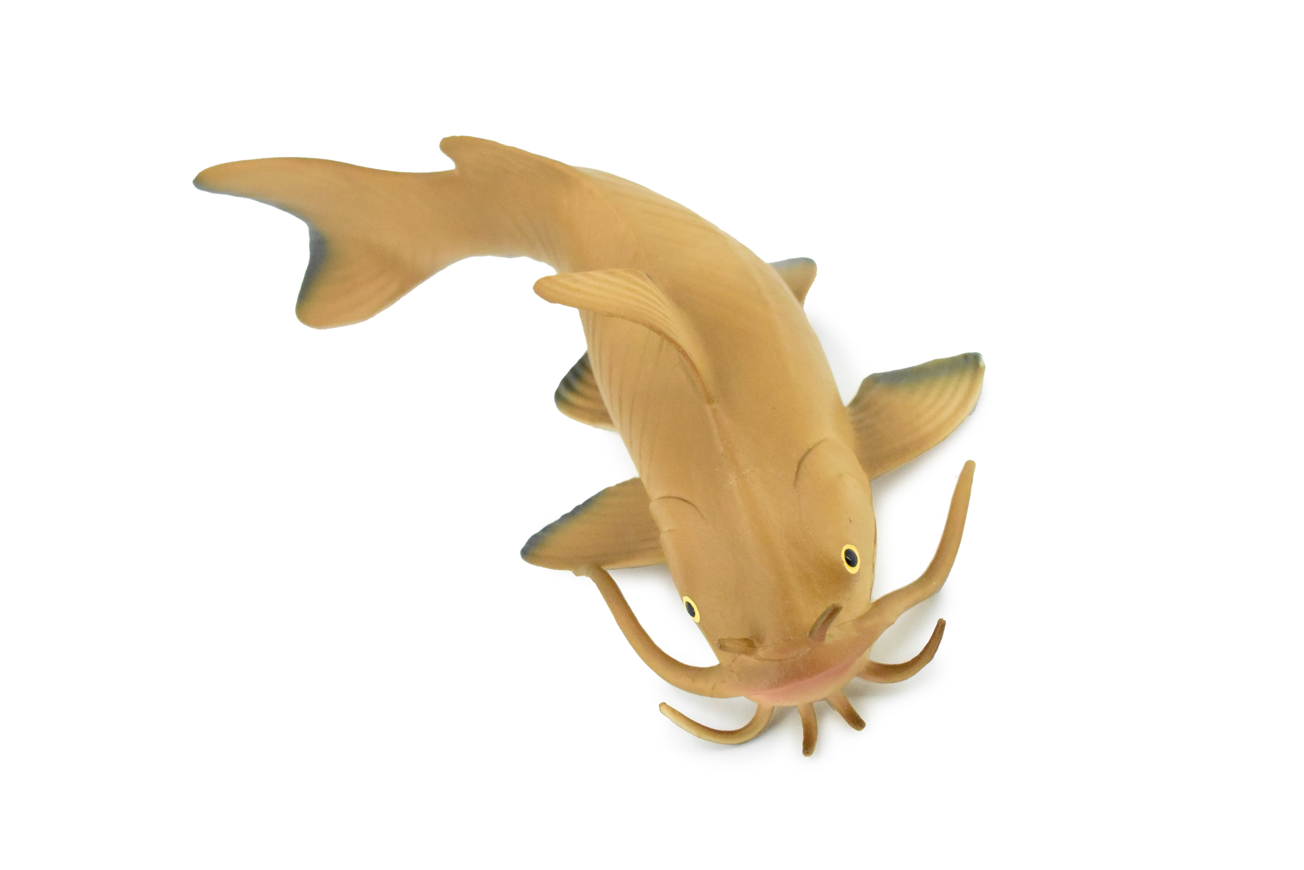 Catfish, Museum Quality, Hand Painted, Rubber Fish, Realistic Toy