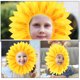 thumbnail image 3 of 2 tocados de girasol, tocado de girasol, aro para la cabeza de girasol para fiesta de baile, cosplay, 3 of 8