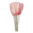 thumbnail image 2 of Dvkptbk Reed Bouquet Natural Dryness - Wedding Bouquet Is A Favorite Wedding Color Within The Natural Home Decor, 2 of 7