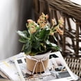 thumbnail image 4 of 3 Size Paper Rope Braided Plant Pots,Creative Flower Arrangement Decorative Basket,Waterproof Simulation Succulent Flower Basket, for Indoor & Outdoor Garden Home Plants-Round (SML), 4 of 5