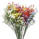 thumbnail image 1 of Flores Artificiales Unique Bargains Gypsophila Multicolor 3 Ramas 15 Piezas Tacto Real, 1 of 6