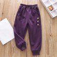 thumbnail image 2 of Agkizg Summer Toddler Baby Girl's Casual Pants,Middle Aged Girls' Cotton Embroidered Printed Elastic Waistband With Side Pockets and Ankle Binding Casual Pants, 2 of 5