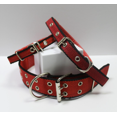 thumbnail image 1 of Collar Extra Chico Hebilla Metalica Ajustable rojo con negro, 1 of 1
