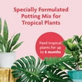 thumbnail image 3 of Miracle-Gro Tropical Potting Mix - Growing Media for Tropical Plants Living in Indoor and Outdoor Containers, 6 qt. 2-Pack, 3 of 11