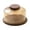 Amber, variant on deevoka Cake Stand with Dome Lid Container Decorating for Baking Gifts Kitchen Party Amber