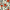 Large Red Floral Pattern, variant on Yayeee Kitchen Curtains Set of 2 Light Filtering 57"x24" Over Sink Window Panels, Red and White Floral Pattern