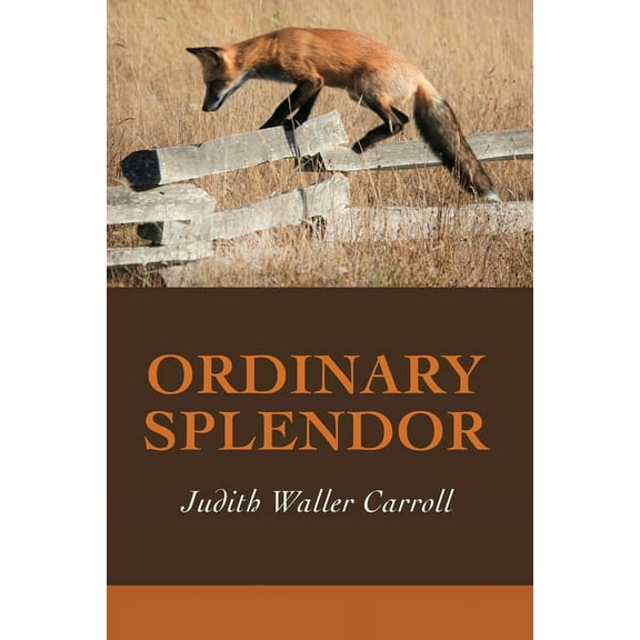 Ordinary Splendor, (Paperback)
