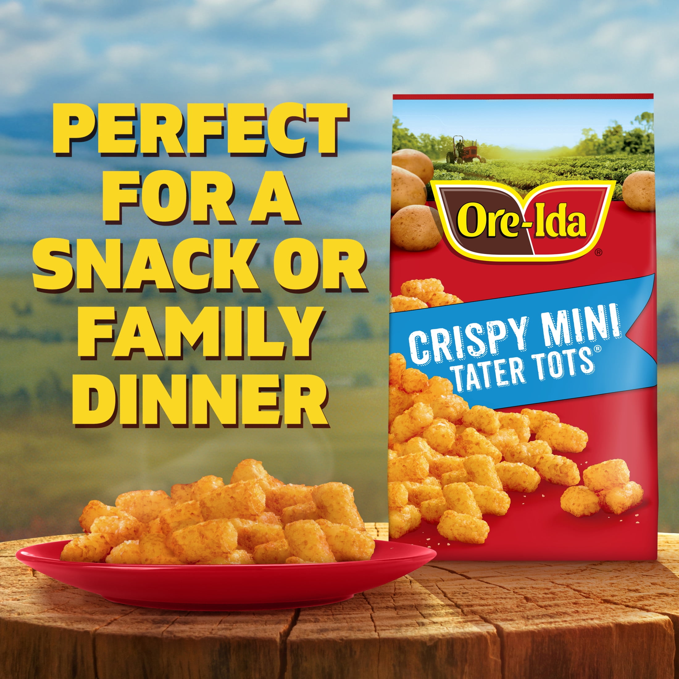 Ore-Ida Crispy Mini Tater Tots Seasoned Shredded Frozen Potatoes, 1 Bag, for Easy Snacks and Dinner Sides, Gluten-Free, 28 oz
