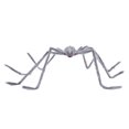 thumbnail image 2 of Giant Hairy Halloween Spider - Extra Large Realistic Scary Spider Decor for Outdoor Yard, Haunted House & Party Props (Brown) 78.7", 2 of 5