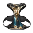 thumbnail image 5 of Lsque Rustic Daisy Mason Jars Dog Harness, No-Pull Pet Harness with 2 Leash Clips, Adjustable Soft Padded Dog Vest with Easy Control Handle for Large Dogs-X-Large, 5 of 9