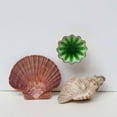 thumbnail image 4 of Set of Six Alice ceramic crackle Green Knobs by Trinca-Ferro, 4 of 8