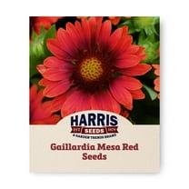 Harris Seeds - Gaillardia Mesa Red F1 Flower Seeds - 100 Seeds
