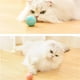 thumbnail image 5 of Cat Smart Ball Toy Electric Catnip Sounding Cat Interactive Rolling Playing Ball, 5 of 5