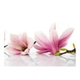 thumbnail image 3 of Tiptophomedecor Floral Wallpaper Wall Mural - Magnolia Flower, 3 of 4