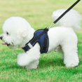thumbnail image 2 of Puppy Cat Harnesses Vest Reflective Walking Lead Leash, 2 of 6