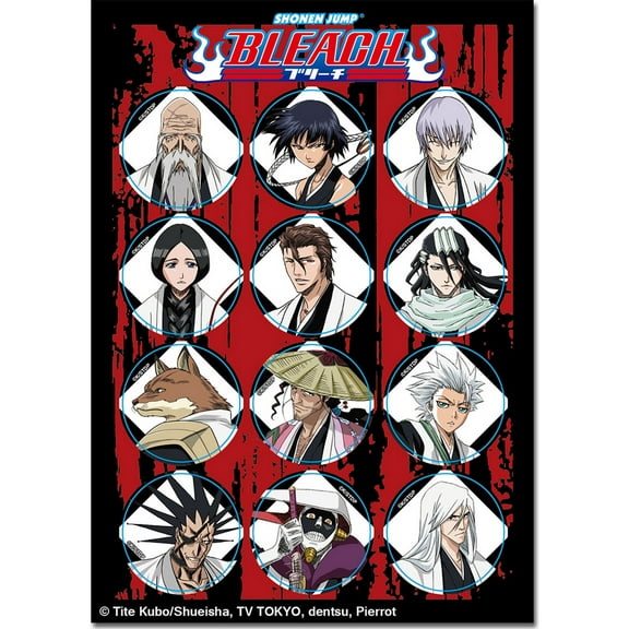 Bleach - Shinigami Captains Sticker Set 5"X7"