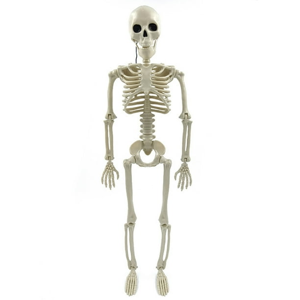 Esqueleto Halloween Esqueleto Cuerpo Humano Simulado Esqueleto Plástico Casa Embrujada Accesorios Escena Festival (40cm 1 Unidad)