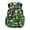 Dinosaur Green, variant on Jeiento Axolotl School Backpack for Girls 6-8 Pink Cherry Blossom Bookbags Primary School Bags with Zipper Pockets Lightweight Large Capacity Rucksack Knapsack 17 Inch
