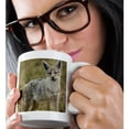 thumbnail image 2 of 3drose, Tanzania, Golden Jackal Wildlife - Af45 Jmc0018 - Joe and Mary Ann Mcdonald, 11oz Magic Transforming Mug, 2 of 7