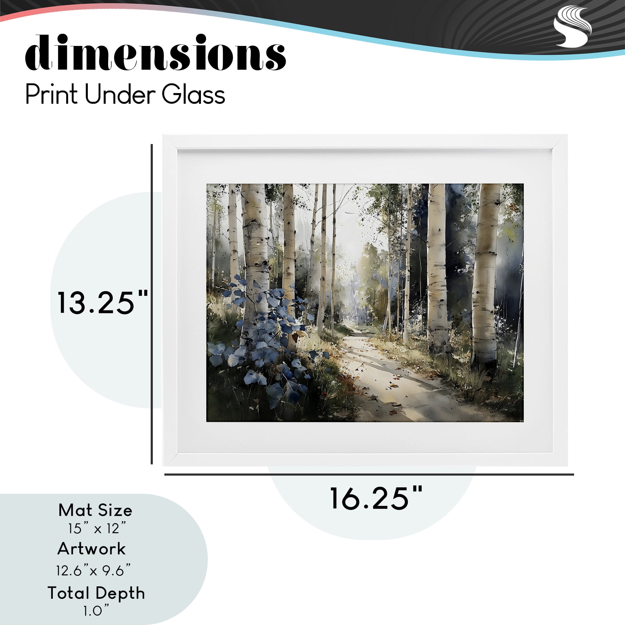 Stupell Industries Blue Birch Sunlit Forest White Framed Print Under Glass, design by Franklyn Gregory