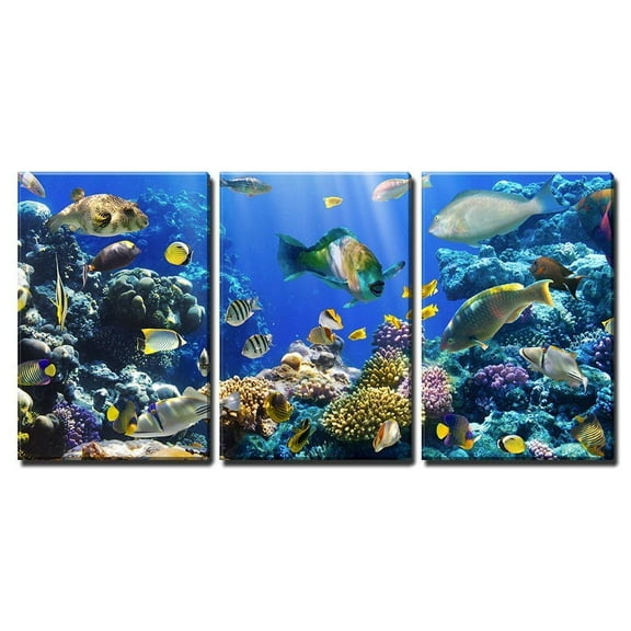 wall26 - 3 Piece Canvas Wall Art - Coral and Fish in The Red Sea Egypt - Modern Home Art Stretched and Framed Ready to Hang - 24"x36"x3 Panels