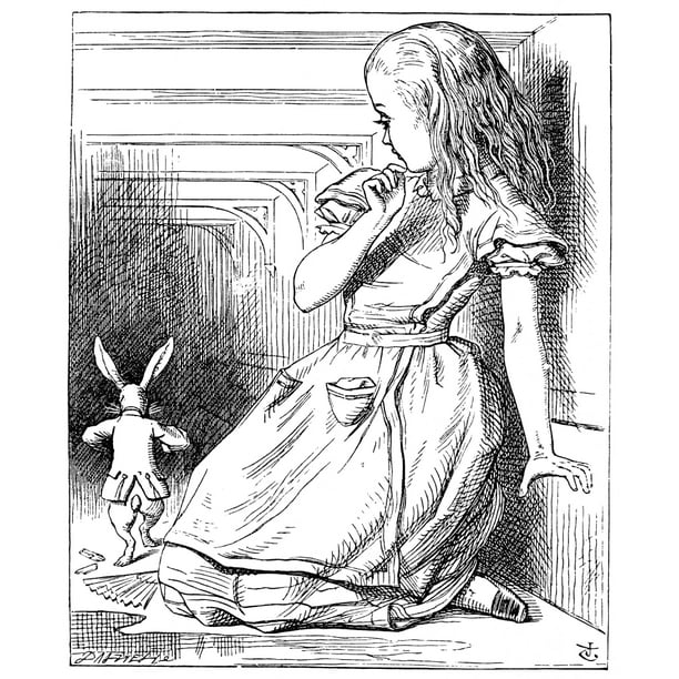 Alice In Wonderland 1865 Nalice And The White Rabbit Illustration By ...
