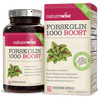 NatureWise Forskolin Plus+, Weight Management with Chromium for Healthy Blood Sugar Support, Coleus Forskohlii Supplement, 250 mg, 60Ct