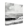thumbnail image 2 of Emma Caroline 'High Tide Sketch I' Canvas Art, 2 of 3