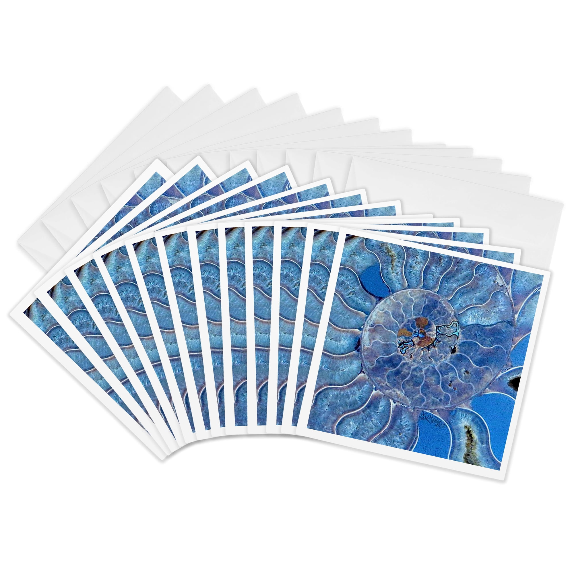 3drose Blue Seashell-mother-of-pearl Closeup 12 Greeting Cards with Envelopes