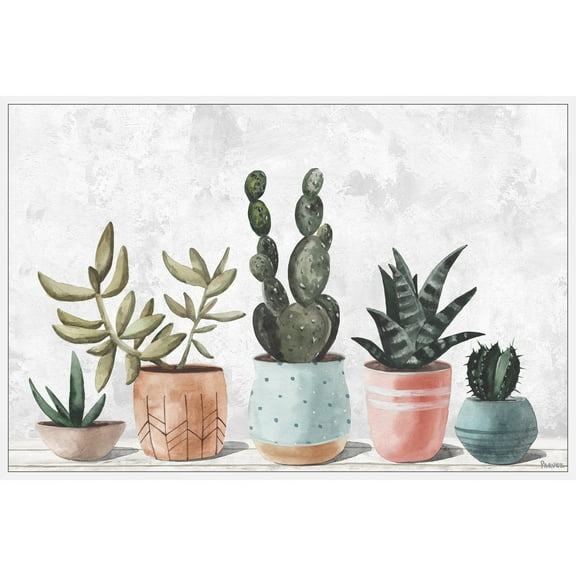 Parvez Taj Succulent Pastel Pots Floater Framed Painting Print on Canvas