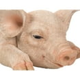 thumbnail image 4 of HI-LINE GIFT LTD. PIG SLEEPING, 4 of 7