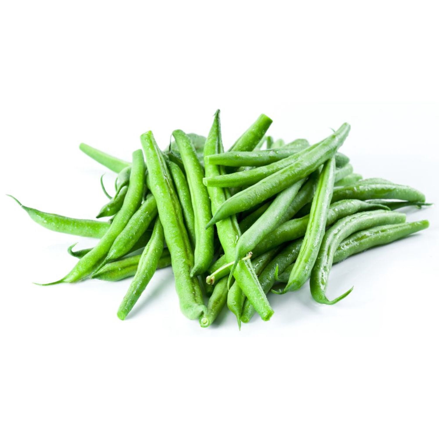 Proven Winners 4" Blue Lake Green Beans Live Plant in 4.25" Pot (4 Count)