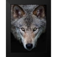 thumbnail image 2 of Cumming, Jim 15x18 Black Modern Framed Museum Art Print Titled - All the better to see you, Timber Wolf, 2 of 5