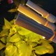 thumbnail image 1 of Luz de Crecimiento de Plantas ShuxiuWang LED de Espectro Completo 132LED, 1 of 1