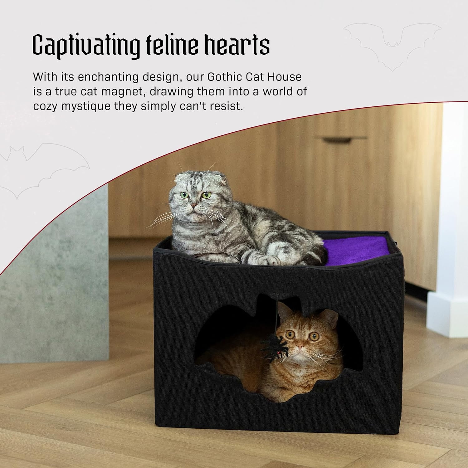 Gothic Cat Bed for Indoor Cats or Pets, Foldable Cat Halloween House 17x17x12.8, Includes Bat-Shaped Entry, Spider Toy, Scratch Pad, and Soft Cushion for Goth Cat, Black and Purple Gothic Cat House