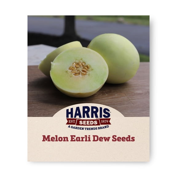 Harris Seeds Melon Earli Dew F1 Honeydew, Non-GMO,Treated, 25 Count