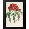 thumbnail image 2 of Reichenbach, H.G.L. 14x18 Black Modern Framed Museum Art Print Titled - RhododendMaps Arboreum, 2 of 5