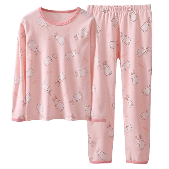 NOLDARES Toddler Baby Girl Boy Winter Clothes 2 Piece Cartoons Graphics Long Sleeve Sweatshirt Tops Elastic Waist Pants Set Fall Outfit Clothing(Pink,9-10 Y)